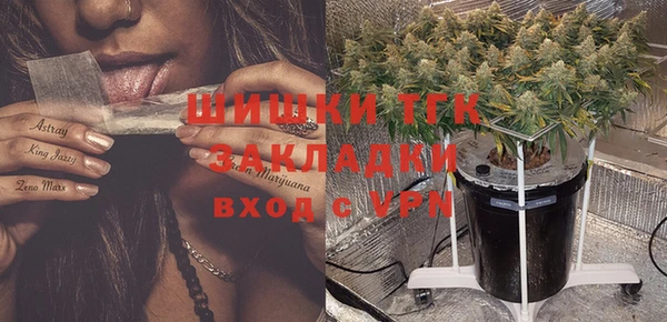 2c-b Зеленодольск