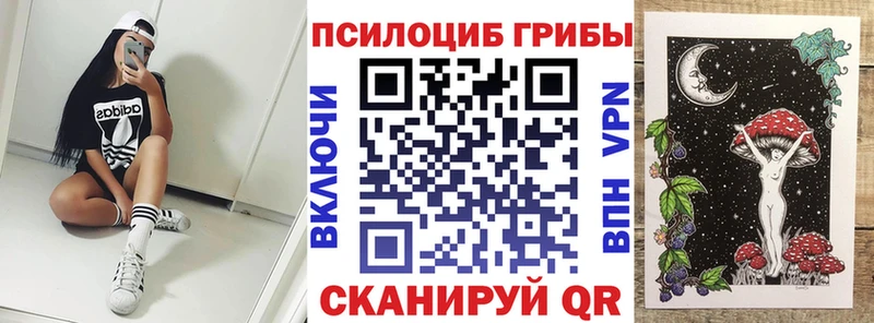 Купить  Южа  Галлюциногенные грибы MAGIC MUSHROOMS 