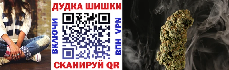 Бошки Шишки план  Купить где  Южа 